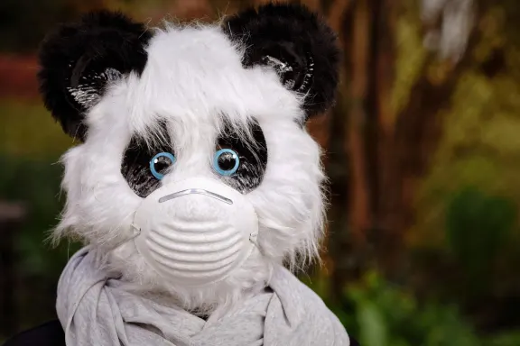 Kasino of Dreams Tuki